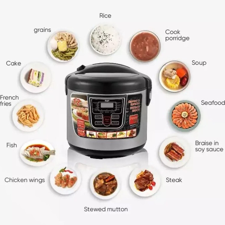 مولتی کوکر 5لیتری راف مدل R.166